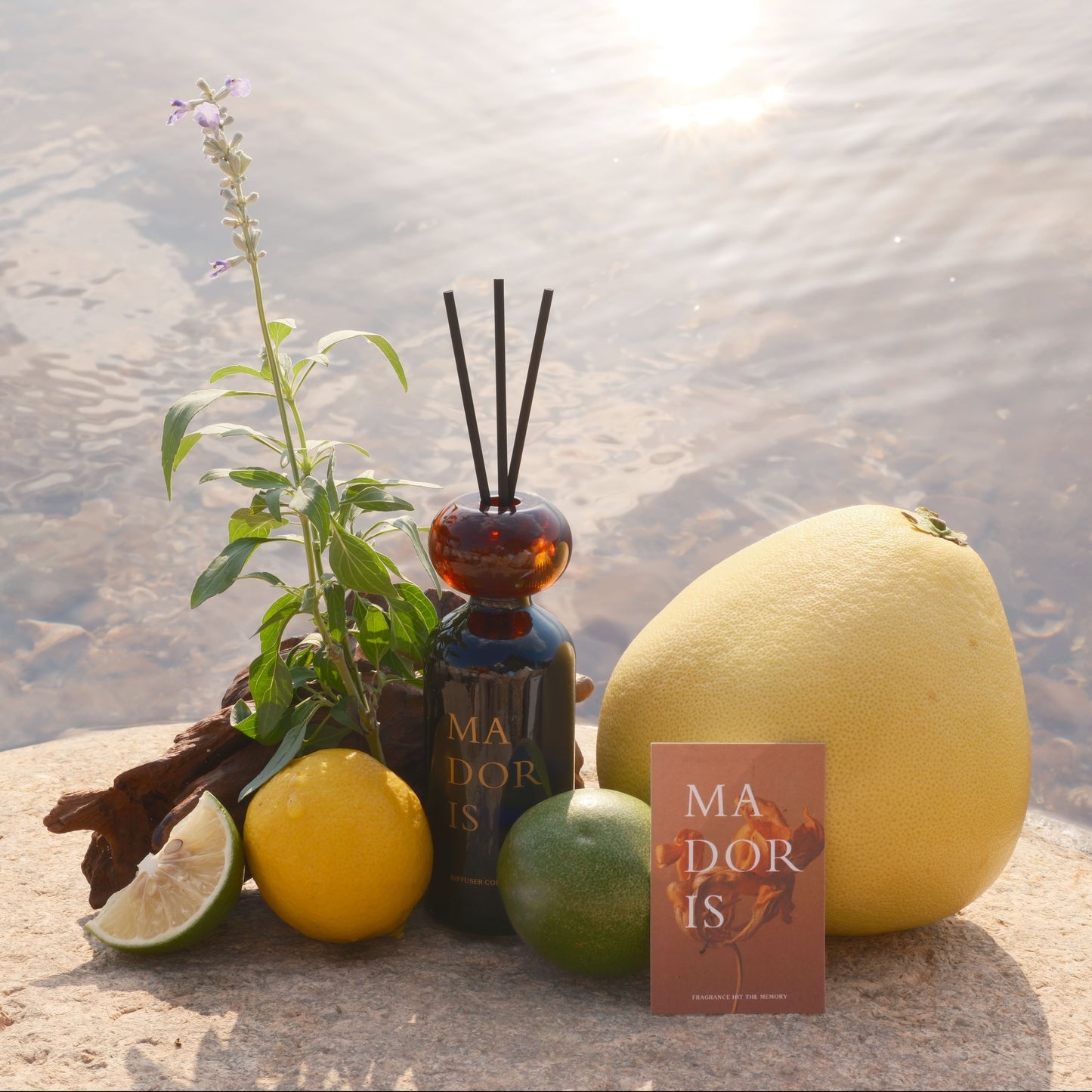 Moonlight Glass Reed Diffuser
